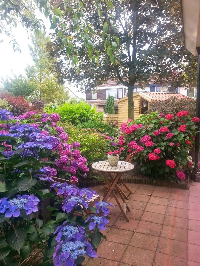 إيدي Bed & Breakfast De Vrijheid المظهر الخارجي الصورة